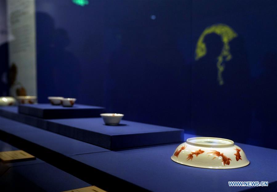 CHINA-BEIJING-PALACE MUSEUM-GOLDFISH-EXHIBITION (CN)