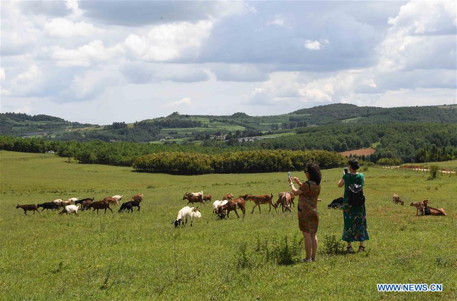 CHINA-YUNNAN-BEIDAYING-GRASSLAND (CN)