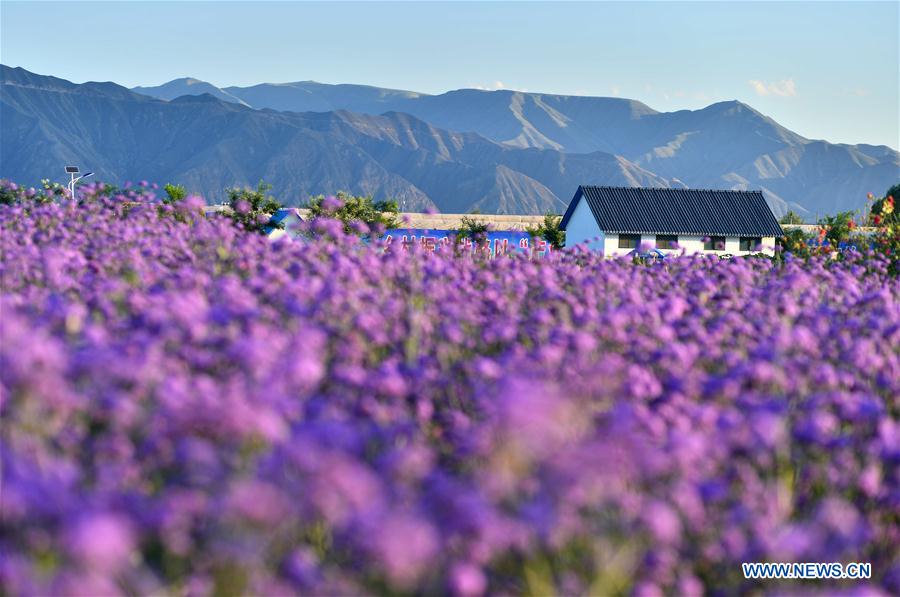 CHINA-GANSU-BAIYIN-TOURISM (CN)