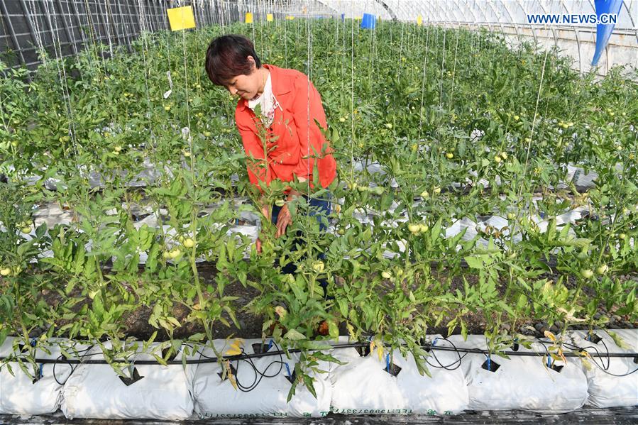 CHINA-GANSU-ECO AGRICULTURE(CN)