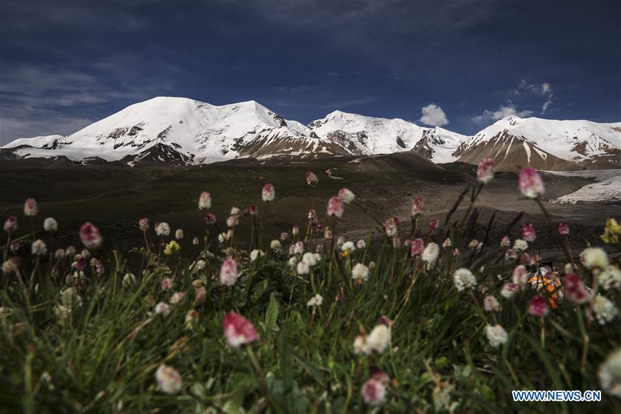 (EcoChina)CHINA-HORTICULTURAL EXPO-QINGHAI (CN)