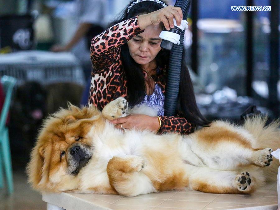 PHILIPPINES-MARIKINA CITY-DOG SHOW