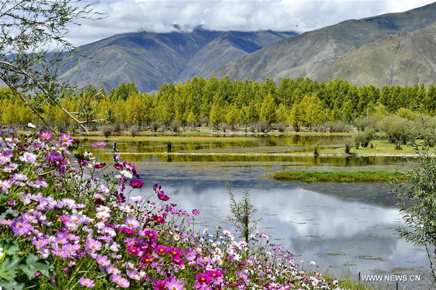 CHINA-LHASA-GOLDEN POND-SCENERY (CN)