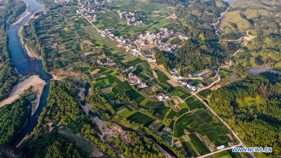 CHINA-GUANGXI-GONGCHENG-FIELDS-SCENERY (CN)