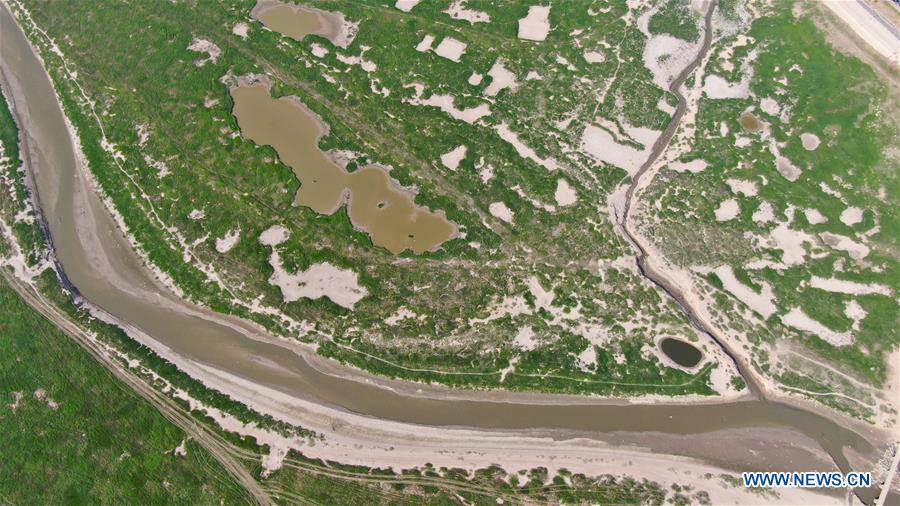 CHINA-JIANGXI-POYANG LAKE-DRY SEASON (CN)