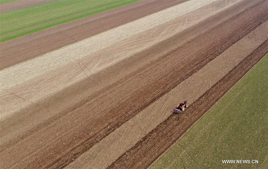 CHINA-HENAN-BAOFENG-FARMING (CN)