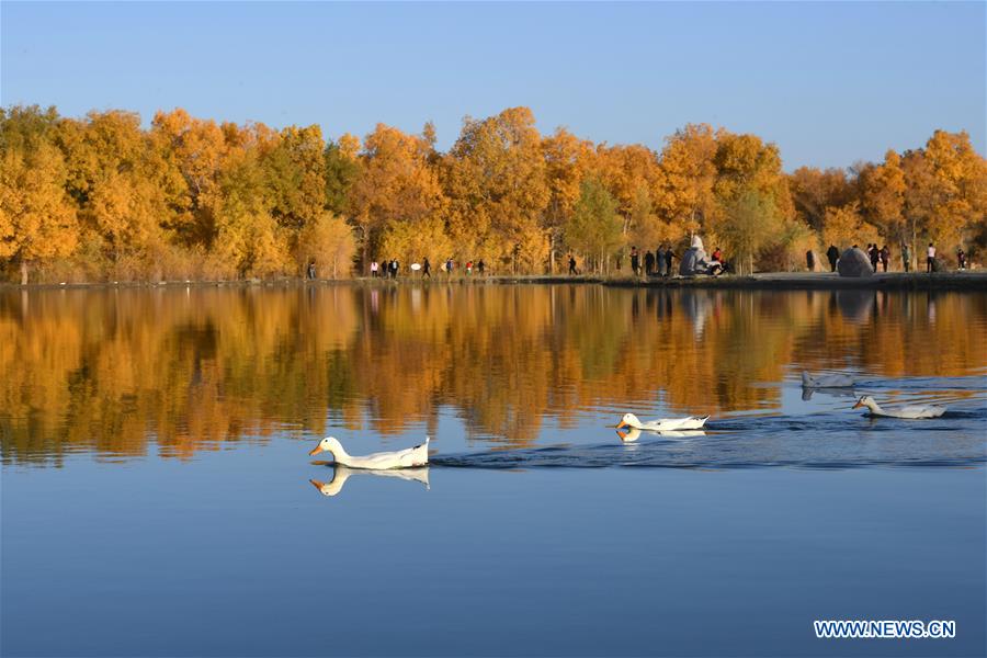 CHINA-JIUQUAN-AUTUMN SCENERY (CN)