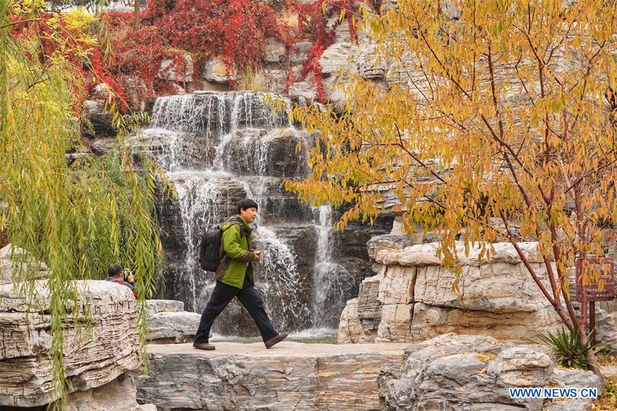 CHINA-HEBEI-TANGSHAN-NANHU PARK-AUTUMN SCENERY (CN)