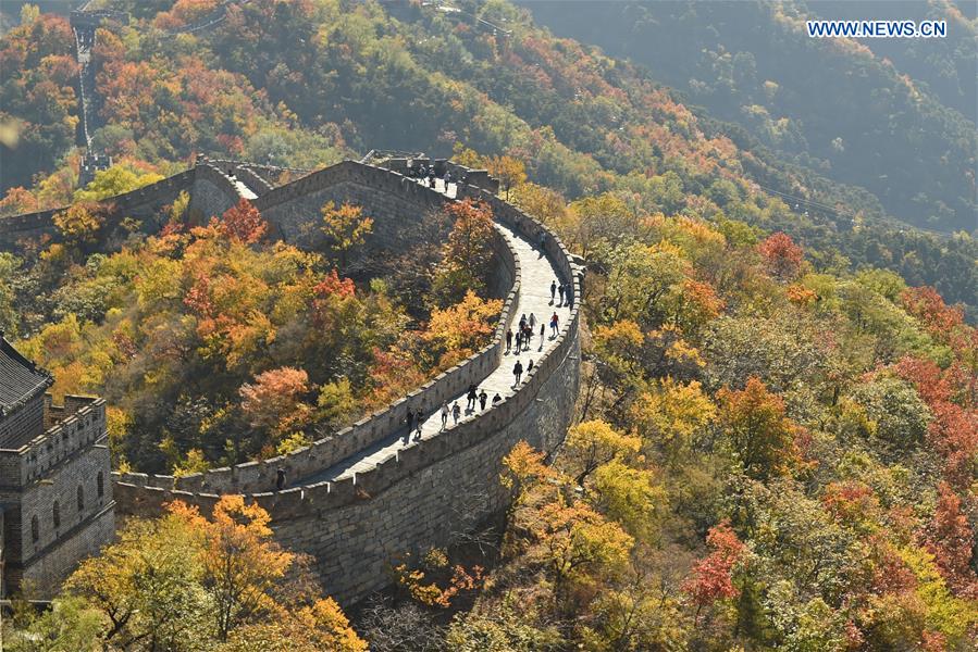 CHINA-BEIJING-GREAT WALL-AUTUMN SCENERY (CN)