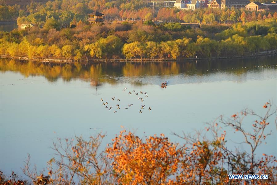 CHINA-HEBEI-TANGSHAN-NANHU PARK-EARLY WINTER SCENERY (CN)