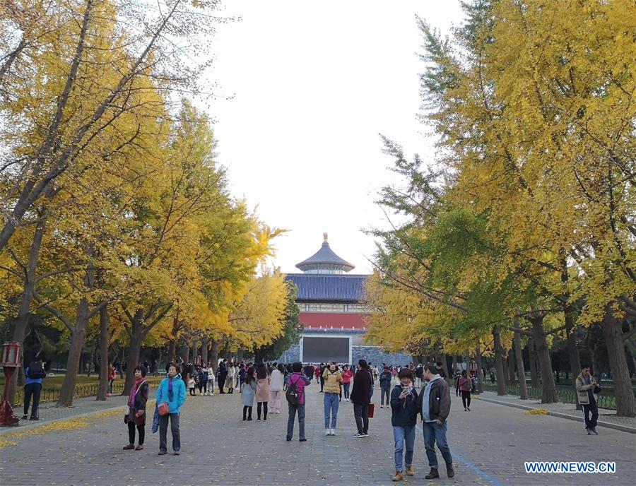 (BeijingCandid)CHINA-BEIJING-AUTUMN (CN)