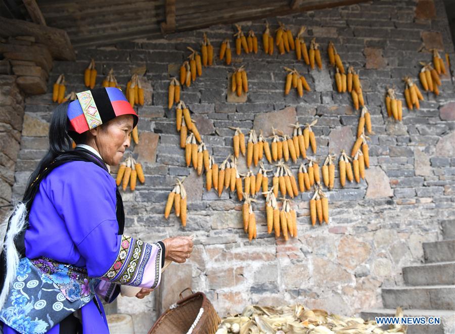 (FOCUS) CHINA-YUNNAN-SHILIN-ANCIENT VILLAGE RENEWAL (CN)