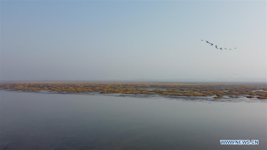 CHINA-ANHUI-SHENGJIN LAKE-MIGRANT BIRDS (CN)