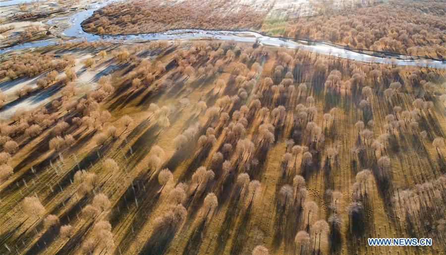 XINHUA-PICTURES OF THE YEAR 2019-AERIAL PHOTO