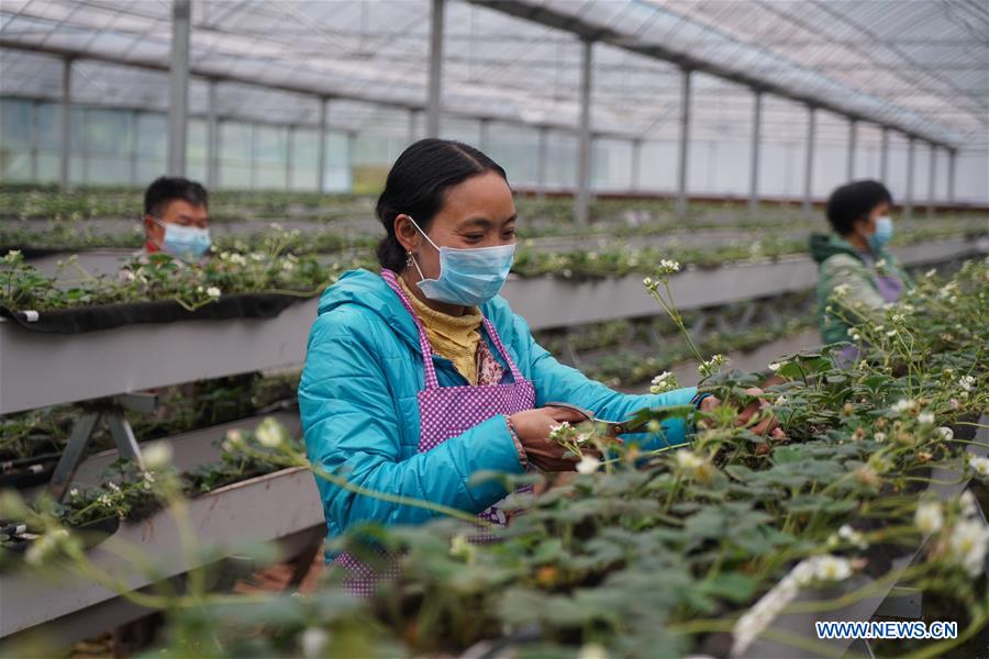 #CHINA-SPRING-FARMING (CN)