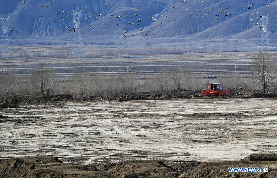 CHINA-TIBET-XIGAZE-AGRICULTURE (CN)