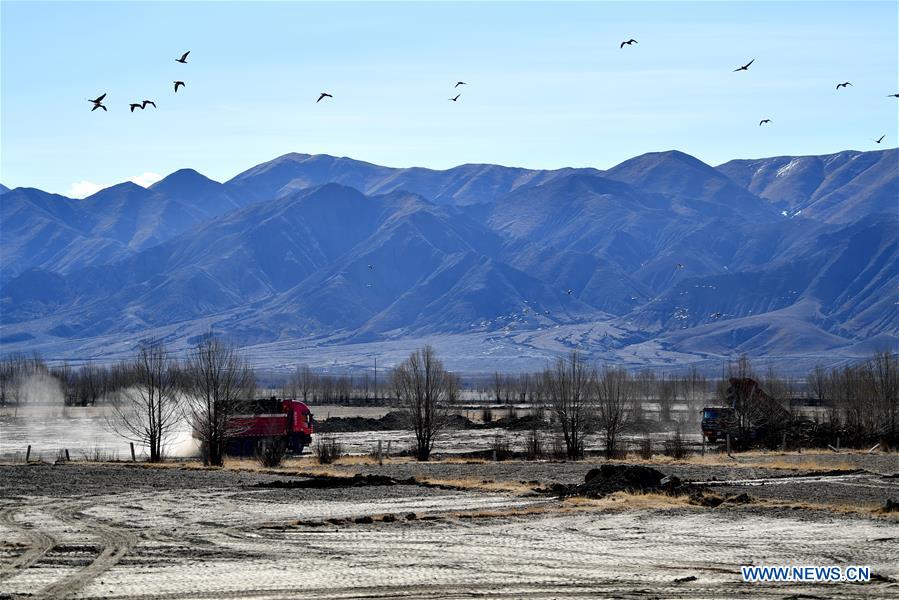 CHINA-TIBET-XIGAZE-AGRICULTURE (CN)