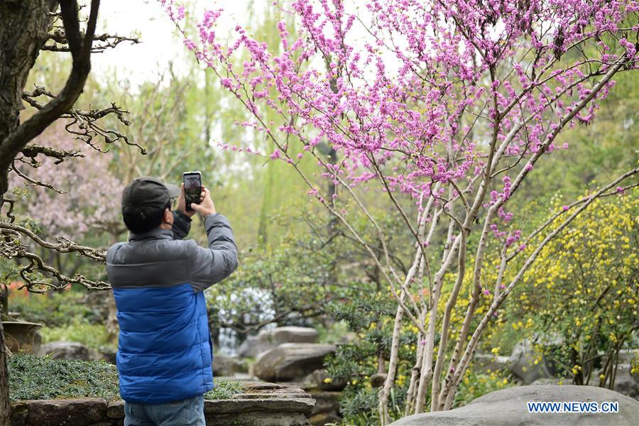 CHINA-SICHUAN-CHENGDU-SPRING VIEW (CN)