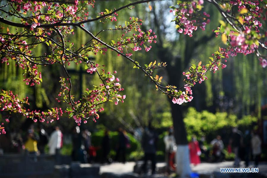 CHINA-SHANDONG-JINAN-SPRING SCENERY (CN)