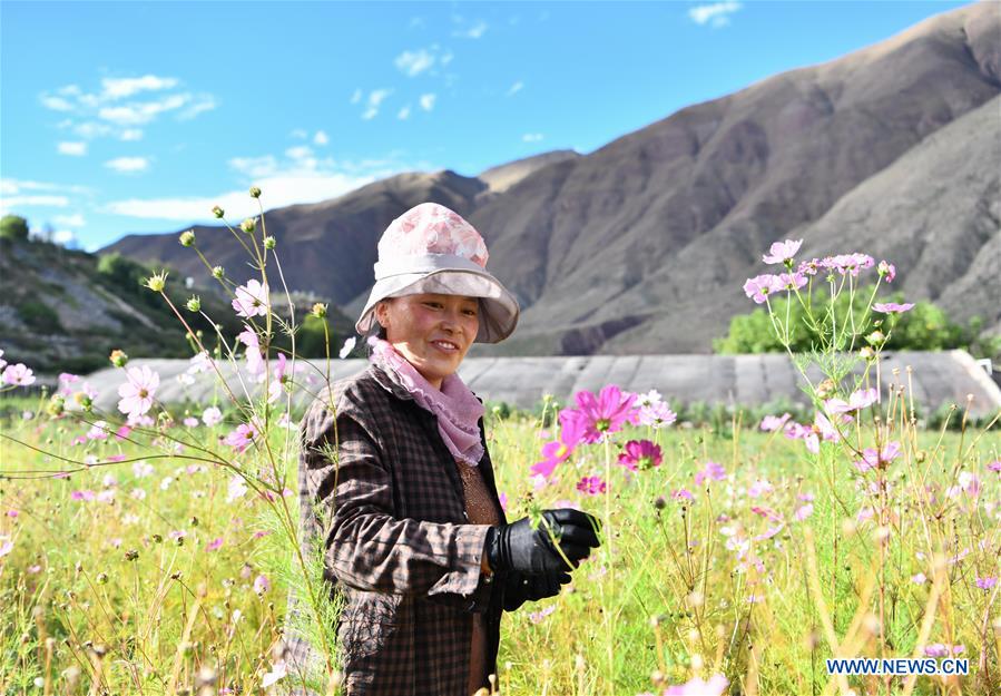 CHINA-TIBET-POVERTY ALLEVIATION (CN)