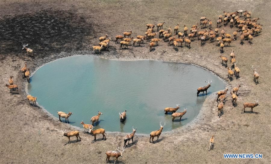 CHINA-SUMMER SCENERY-AERIAL VIEW (CN)