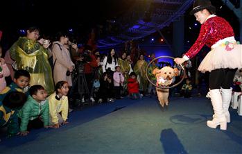 Animals attract tourists at Happy Valley