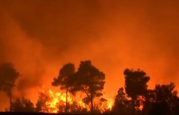 Greece wildfires: "Paradise becomes hell", says island resident