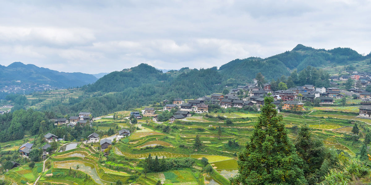 龙塘村全景