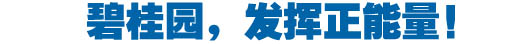 社会责任融入血液 碧桂园践行“中国梦”