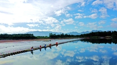 浙江仙居：夏日戏水