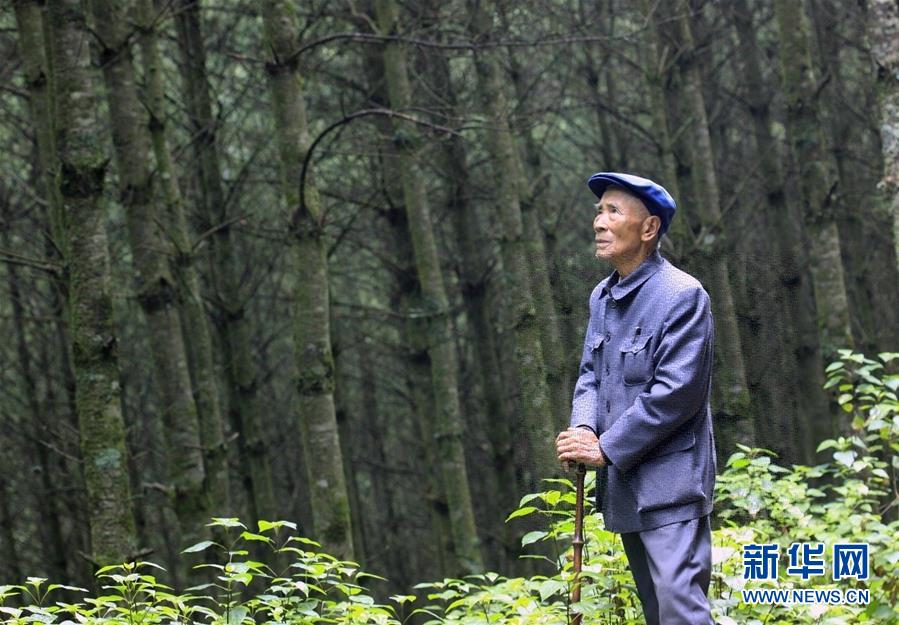 （改革先锋风采·图文互动）（1）杨善洲：绿了荒山造福百姓的“草鞋书记”