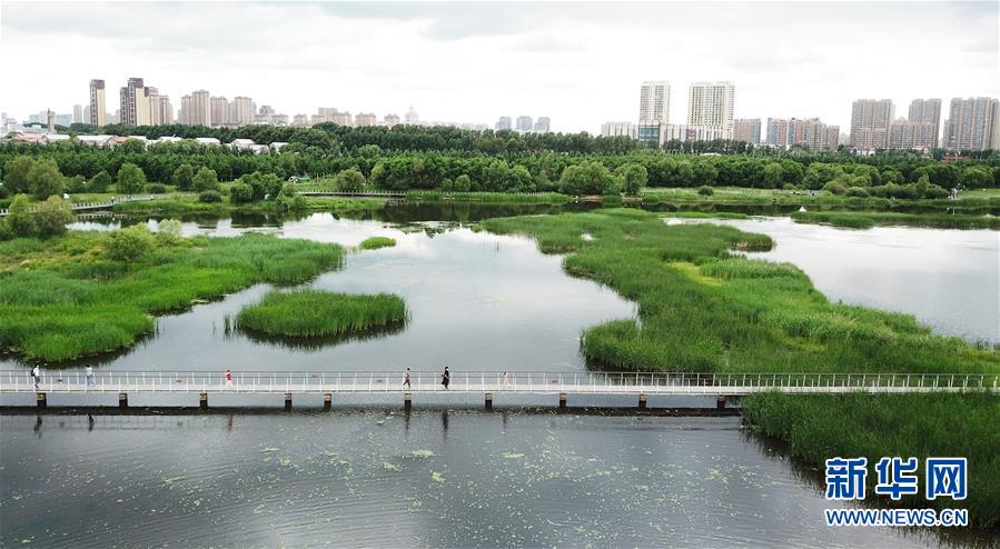 （走向我们的小康生活·图文互动）（1）水清、地绿、空气新——最北省份黑龙江绘就生态治理新画卷