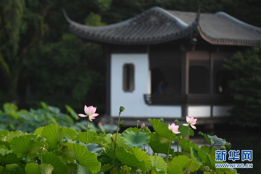 （新华全媒头条·图文互动）（7）钱塘今朝更繁华——高水平小康的“杭州答卷”