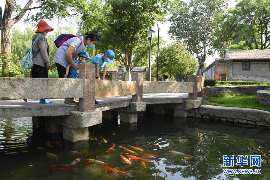 （走向我们的小康生活·图文互动）（2）小桥、流水、书香、人家——老北京胡同里的恬静栖居