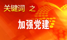 王京清：加强党建必须倍加珍惜、始终坚持、不断发展