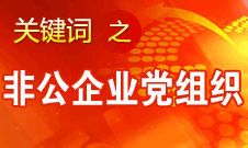 王京清：非公企业建立党组织服务企业发展、服务员工