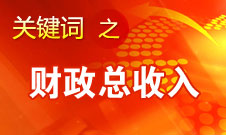 张平：今年财政总收入估计超过11万亿