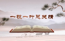 《平“语”近人——习近平总书记用典》（第一集）一枝一叶总关情