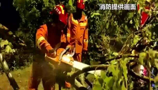 浙江金华：狂风暴雨来袭 消防人员化解多起险情